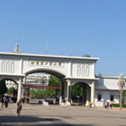 杨明明